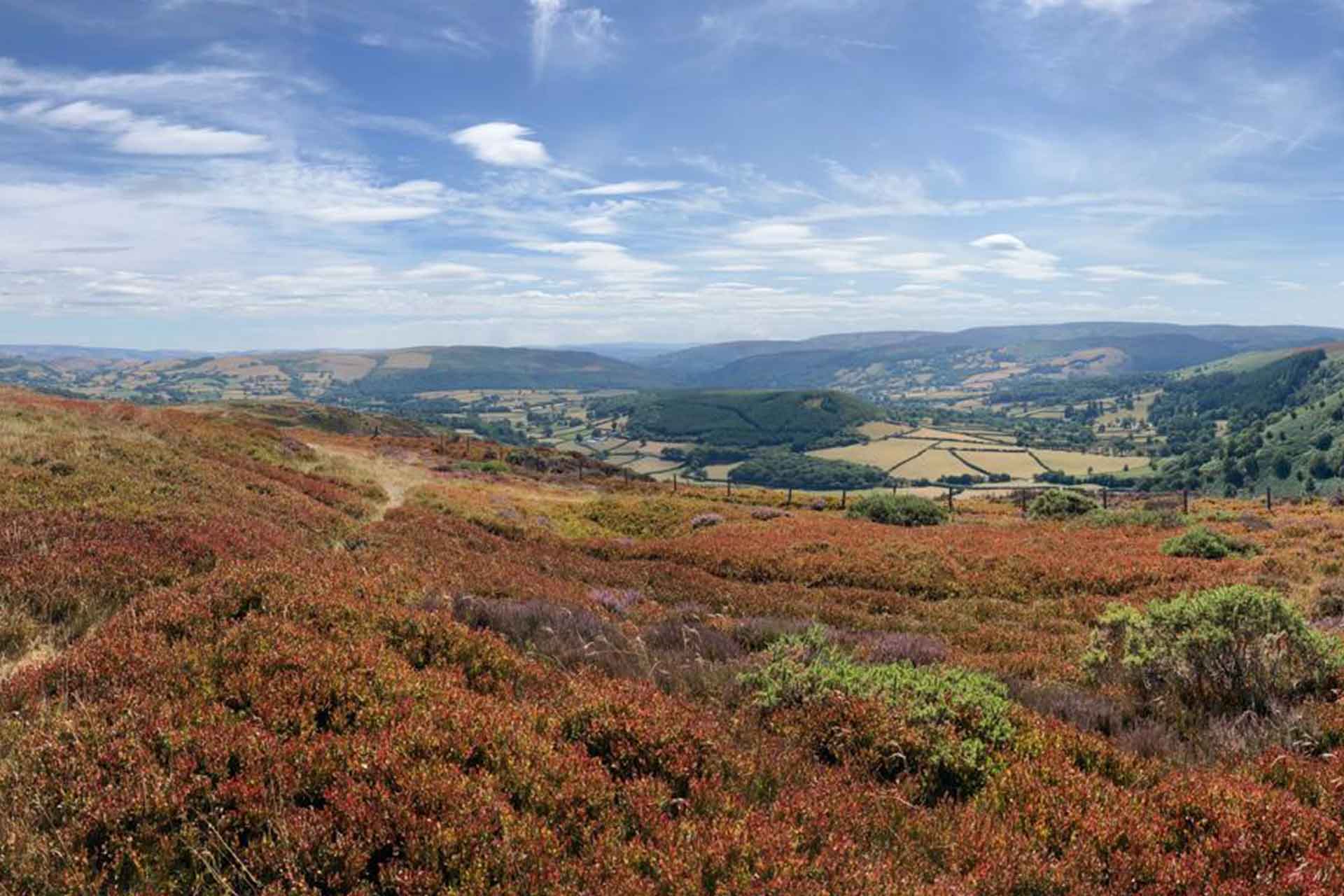 welsh green lane run august 2026