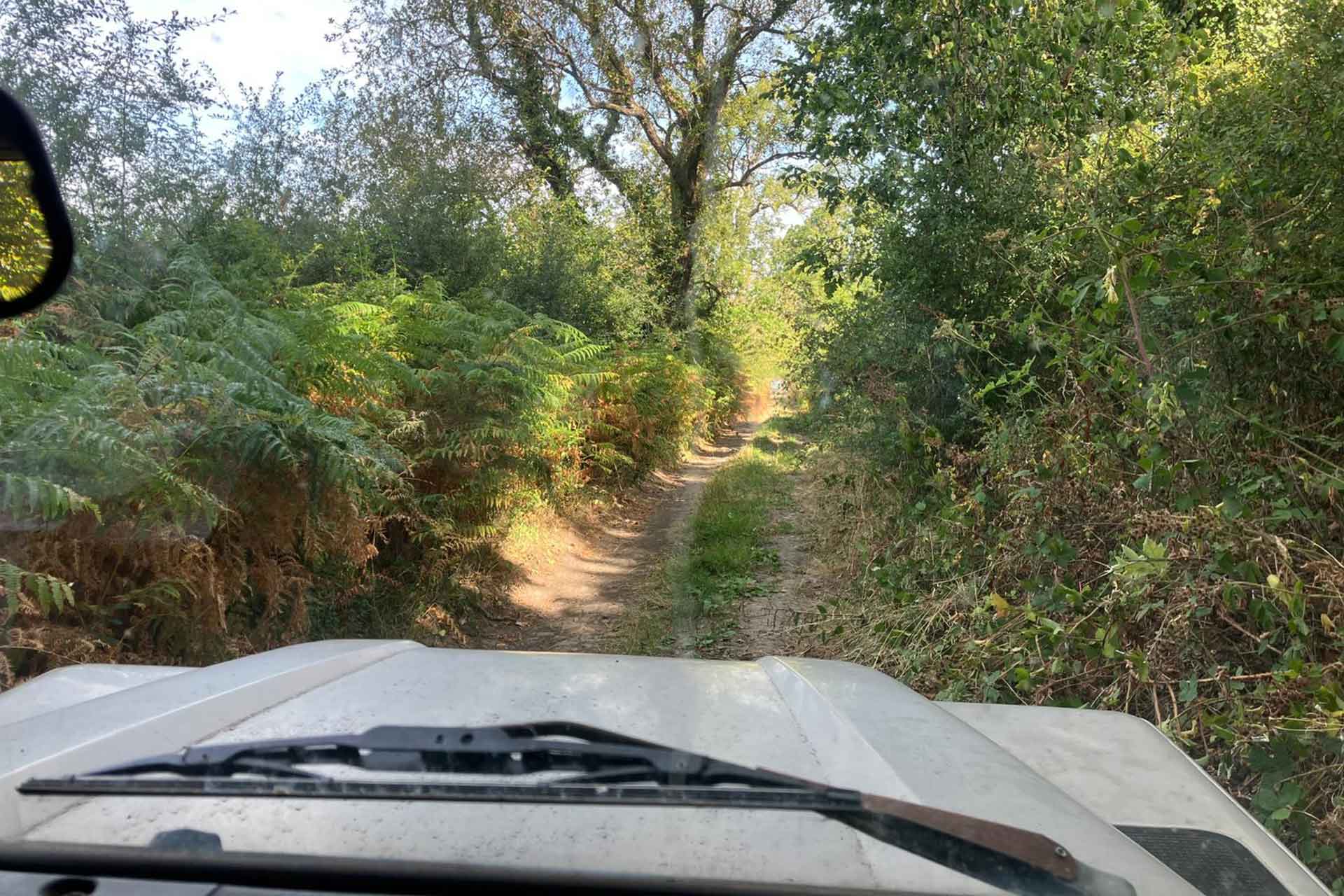 welsh green lane run august 2026